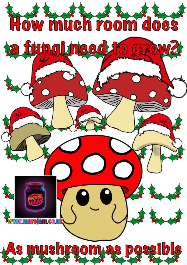 Christmas Card Christmas Cracker Jokes Mushrooms | More Jam