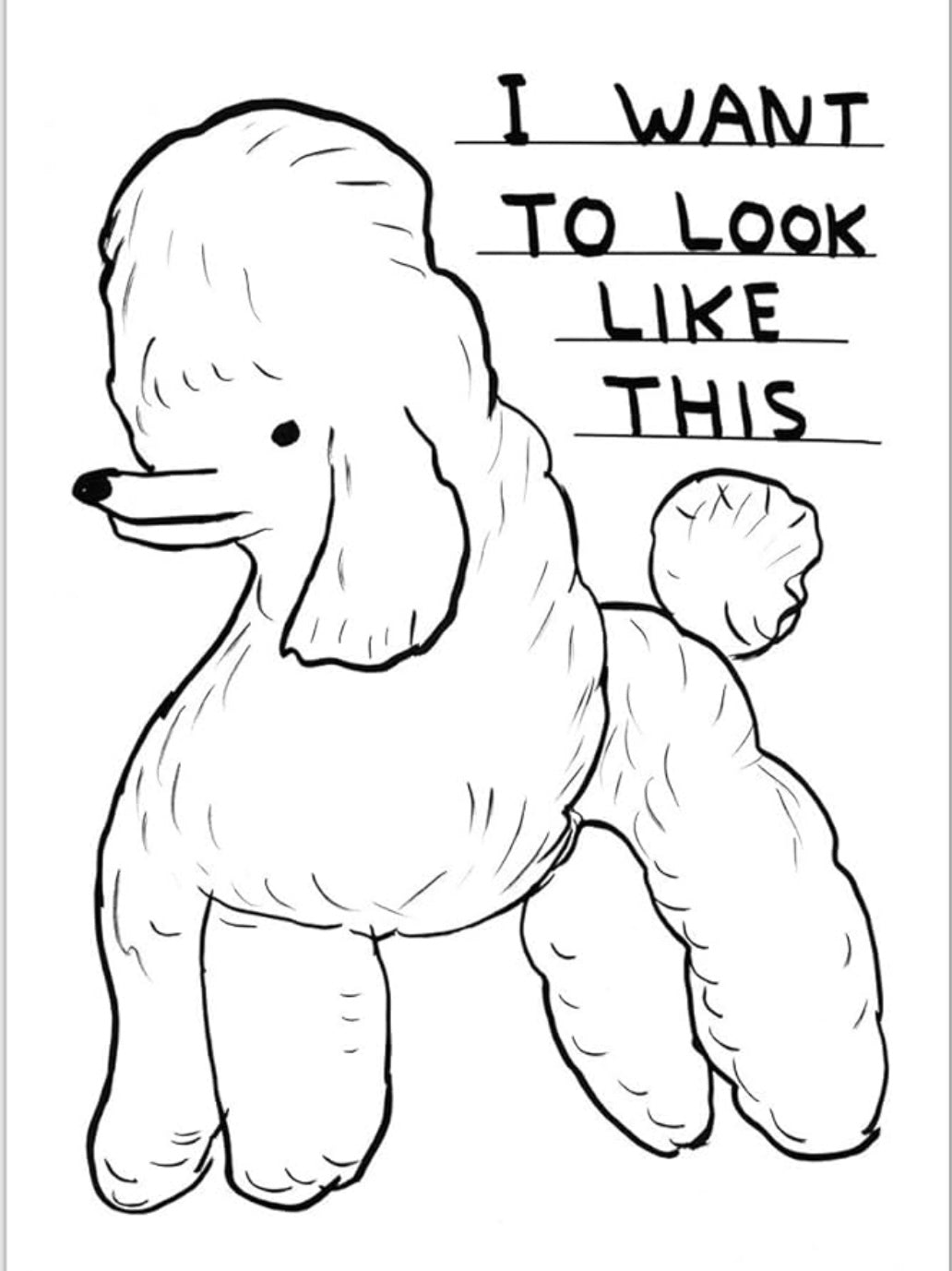 David Shrigley