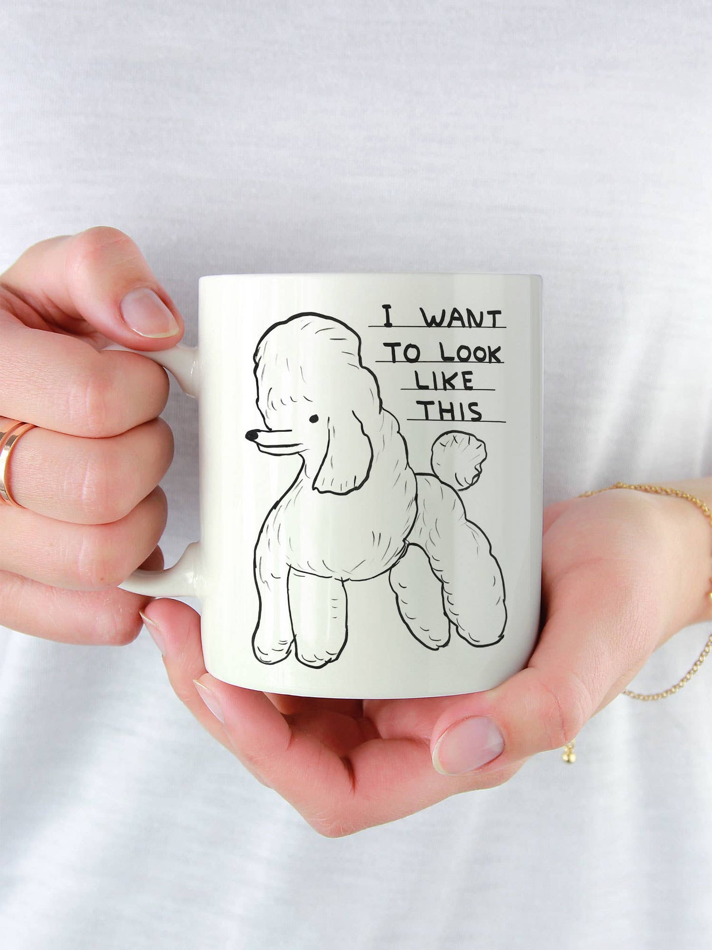 Funny Gift David Shrigley Mug - Want To Look Like This
