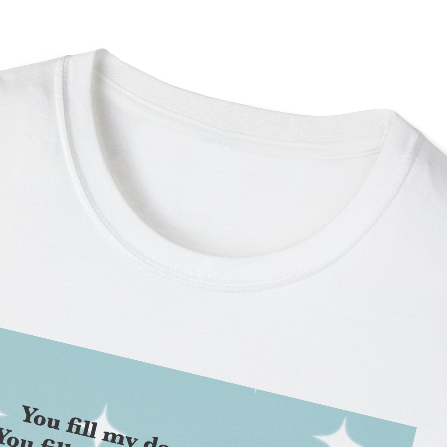 Len This Country Poem Softstyle T-Shirt