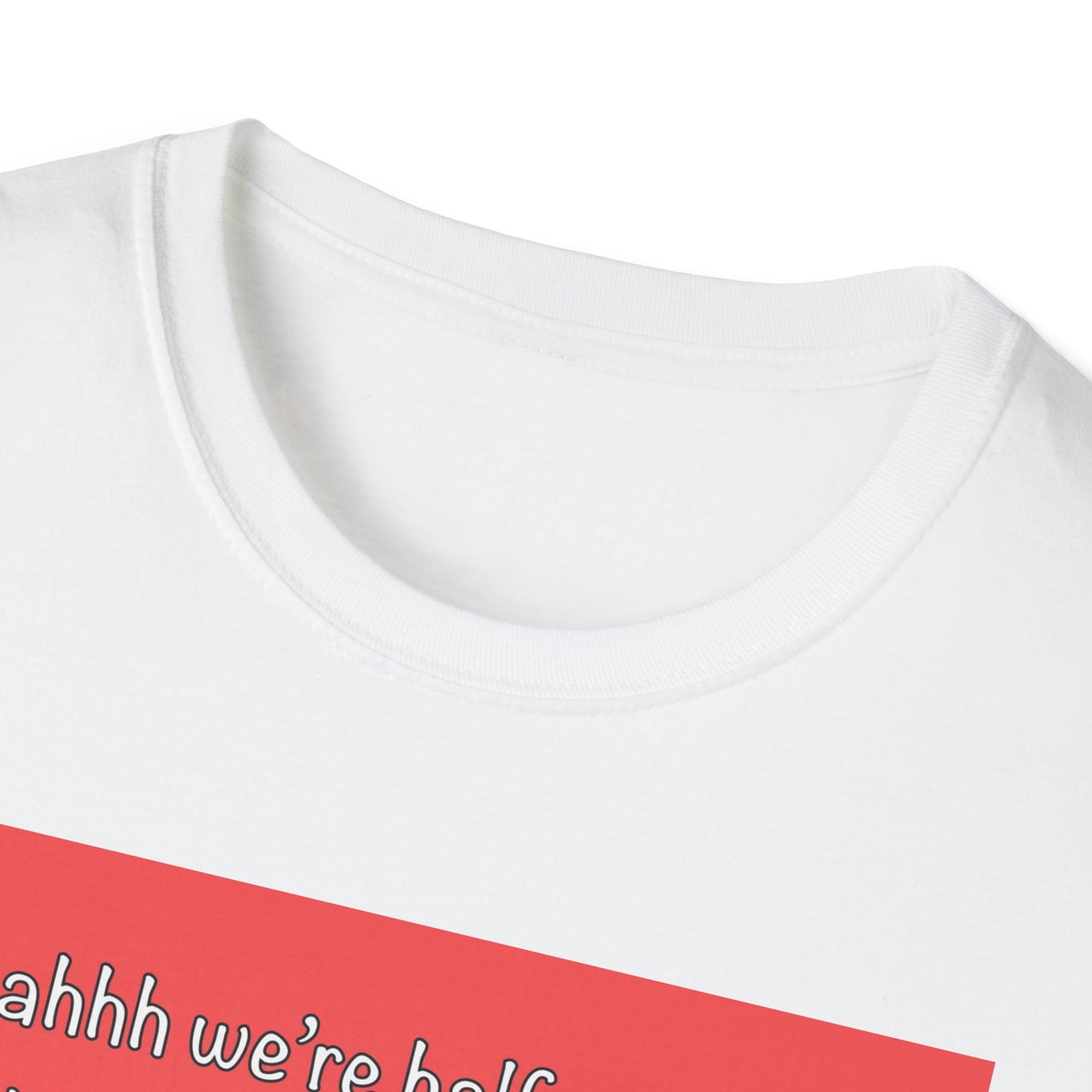 Pigeon on a Chair Funny Bird Meme T-Shirt — Misheard Lyrics Bon Jovi Tee