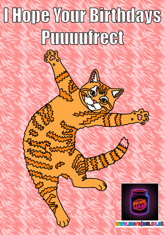 Funny Cat Puurrfect Day | Funny Birthday Card | More Jam
