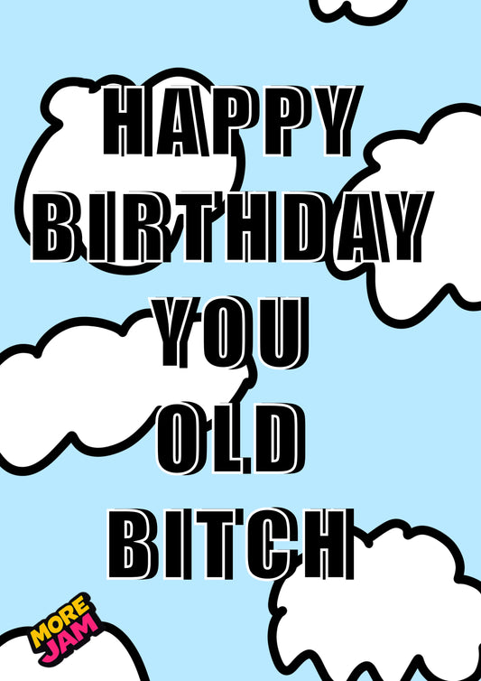 Old Bitch | Funny Rude Girlfriend Birthday Card | More Jam