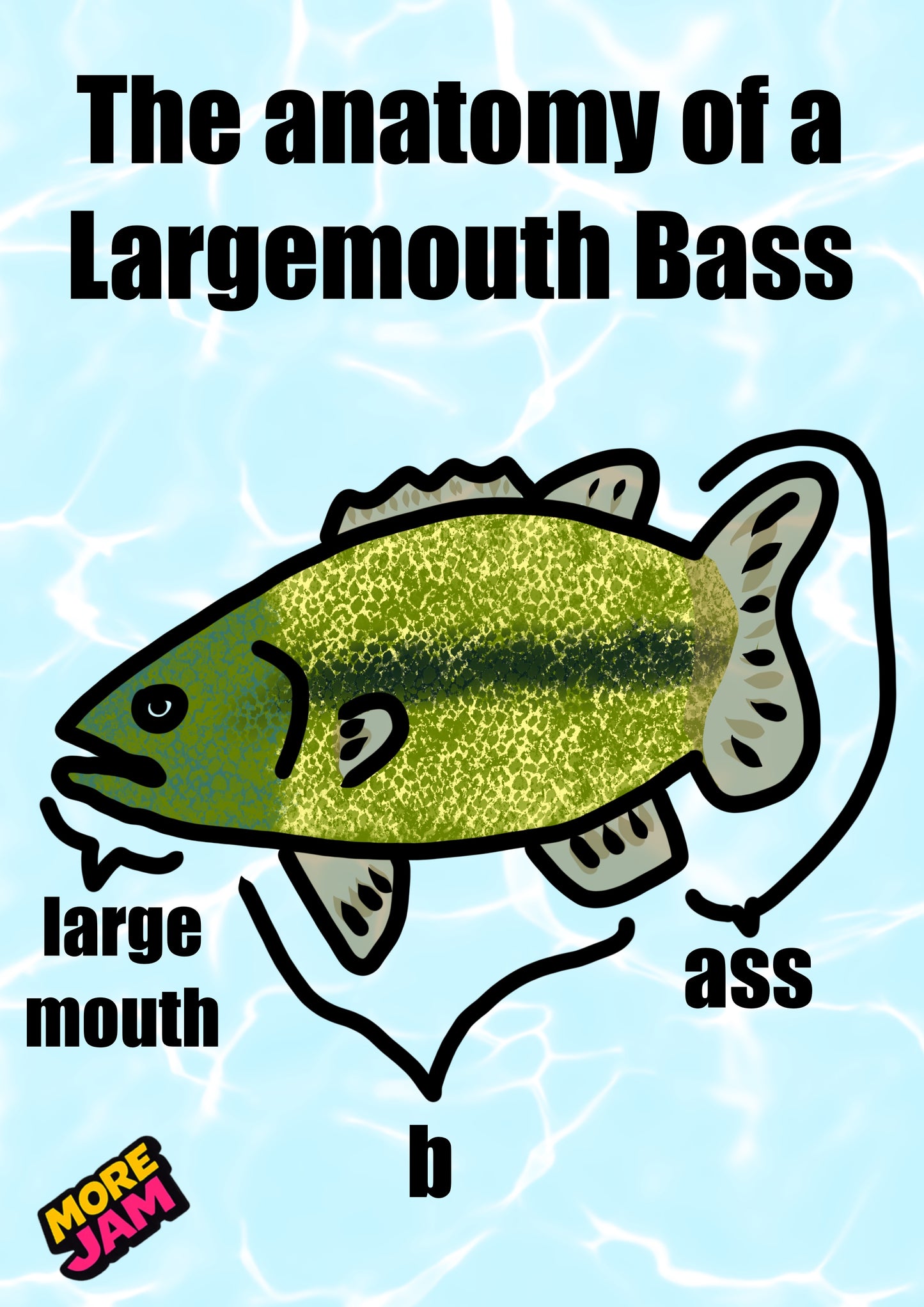 Fishing Facts Prints UK | Unique A4 Wall Art | More Jam