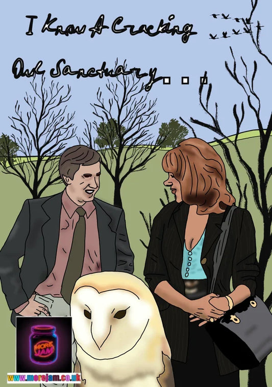 I Know a Cracking Owl Sanctuary | Funny Alan Partridge Card | More Jam