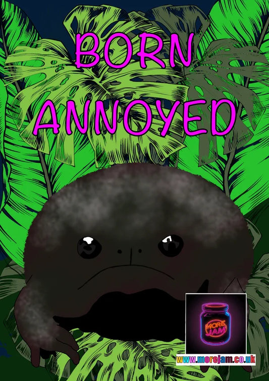 Born Annoyed Rain Frog Card | More Jam