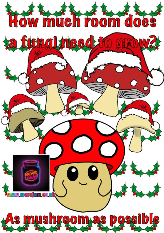 Christmas Card Christmas Cracker Jokes Mushrooms | More Jam