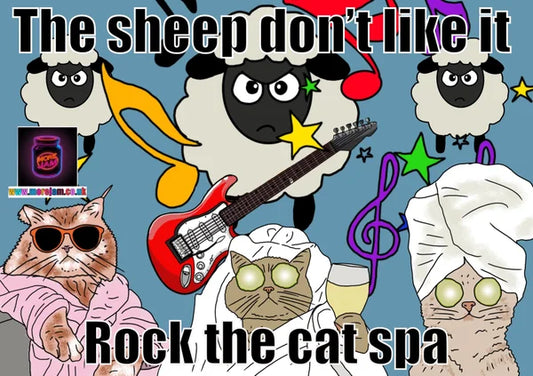 Rock the Cat Spy Any Occasion Card | More Jam