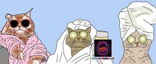 Any Occasion Spa Cat Vibes Cheers | More Jam